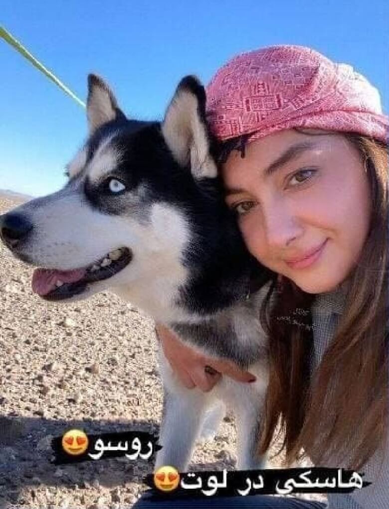 هانیه توسلی حیثیت خودش را برده است.