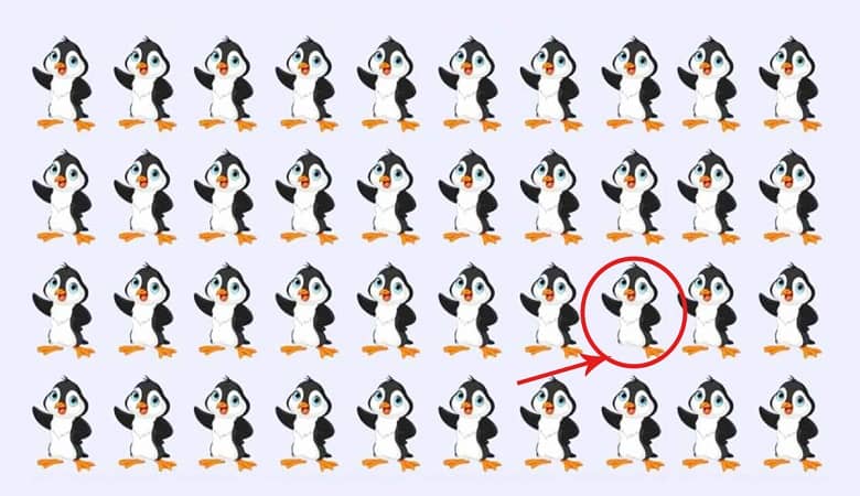 تصویر پنگوئن متفاوت