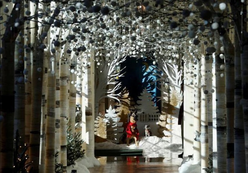 حال و هوای کریسمسی کاخ سفید + عکس حال و هوای کریسمسی کاخ سفید + عکس