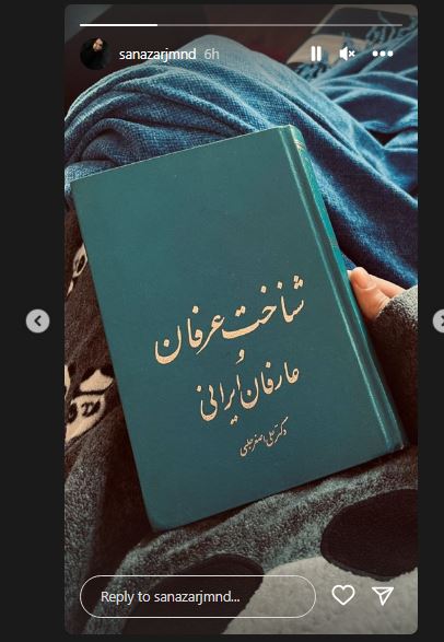 تغییر مسیر باورنکردنی ساناز ارجمند به خاطر شهاب حسینی