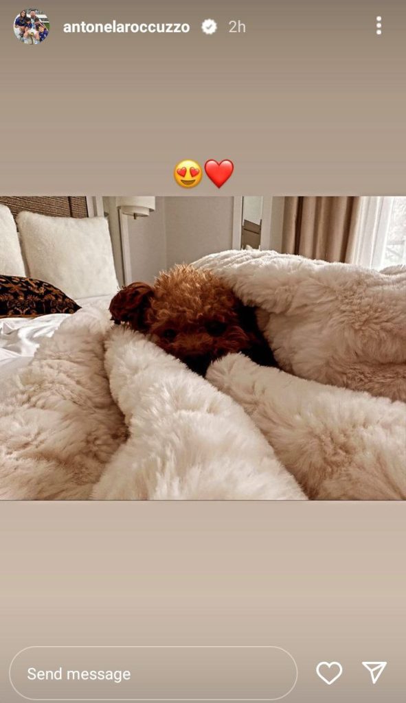 رونمایی همسر مسی از حیوان خانگی عجیب و جدیدش!