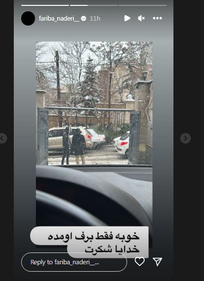 طعنه جنجالی فریبا نادری به چالش‌های بعد از بارش برف!
