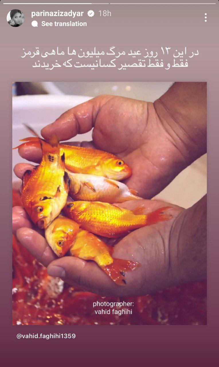  استوری عصبانی پریناز ایزدیار خطاب به مردم/ عکس