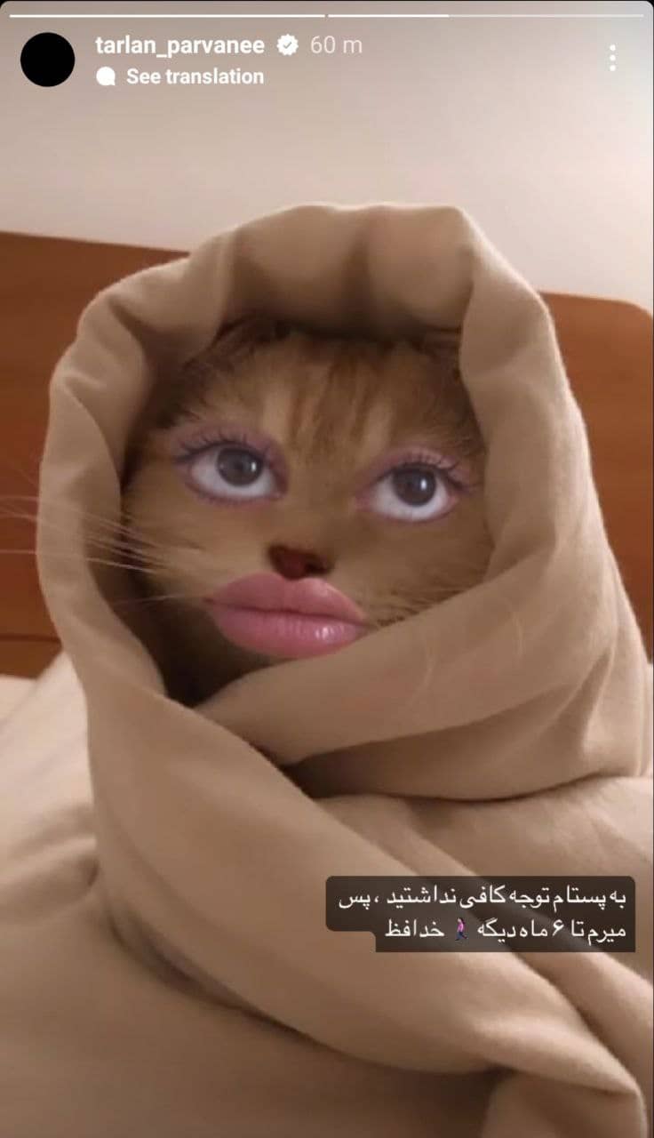 خداحافظی “ترلان پروانه” از اینستاگرام به یک دلیل عجیب!