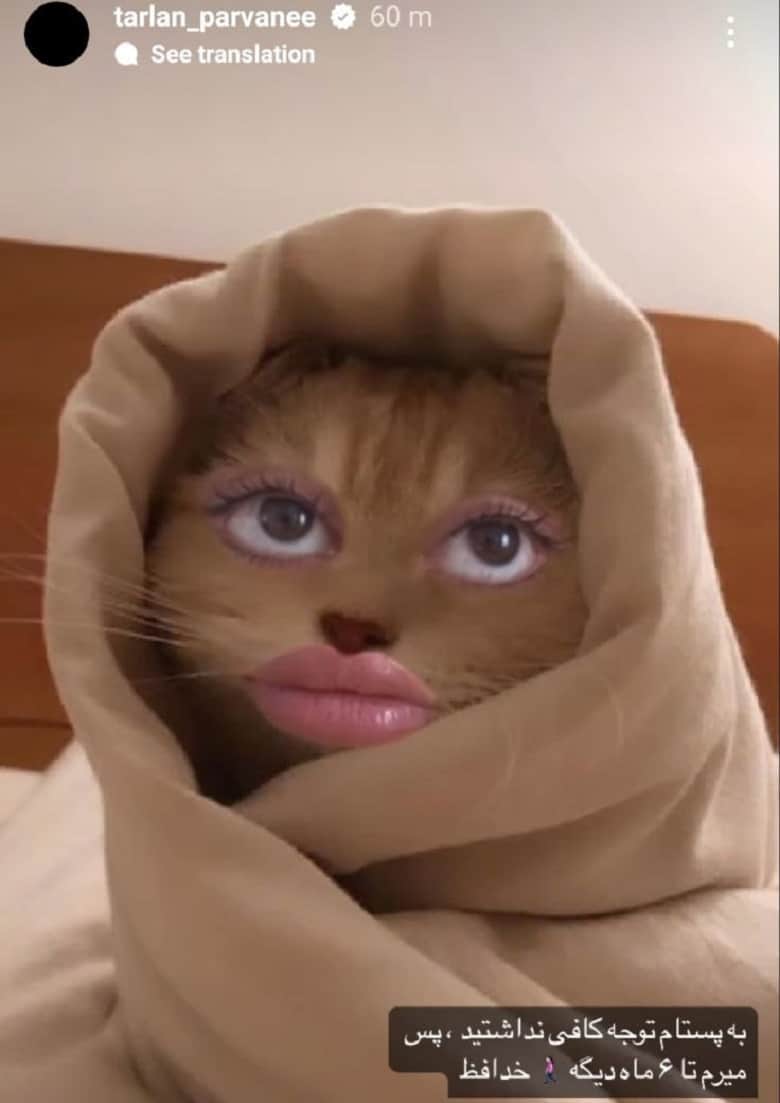 ترلان پروانه به خاطر این پست از اینستاگرام قهر کرد!