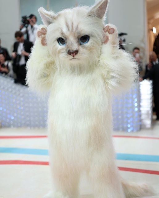 جنجالی ترین استایل مت گالا را این آقای 51 ساله داشت+عکس جنجالی ترین استایل مت گالا را این آقای 51 ساله داشت+عکس