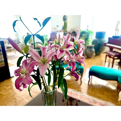 باورتان می شود این خانه لاکچری “نرگس محمدی” باشد/ عکس