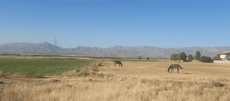 روستای زرگر در نزدیکی تهران یک روستای ایتالیایی است.