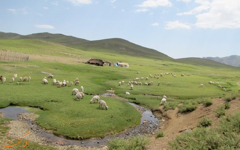 در این ۶ منطقه در ایران نیاز به کولر نخواهید داشت.