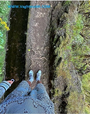 عکس/ وقتی امیر عابدزاده فرش ایرانی بر تن می کند!