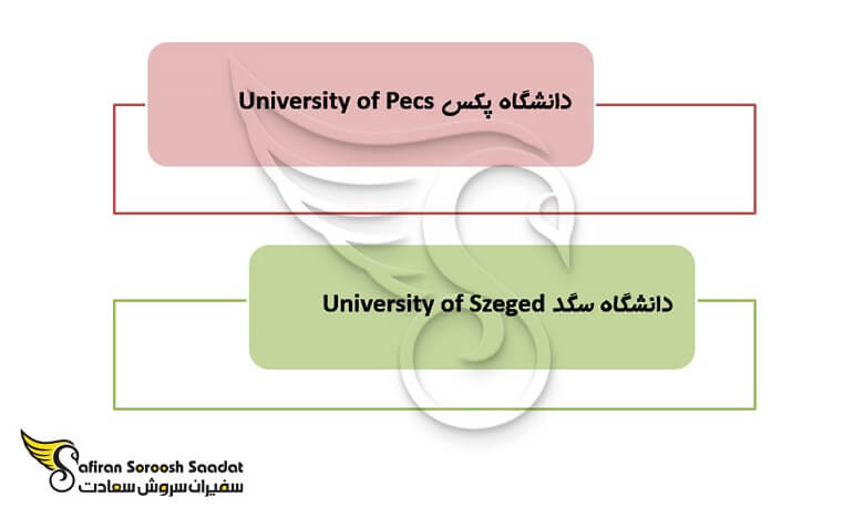 3 روش تحصیل رایگان پزشکی در مجارستان