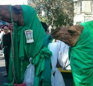 حجاب باورنکردنی شترهای این تعزیه عزاداری/ عکس