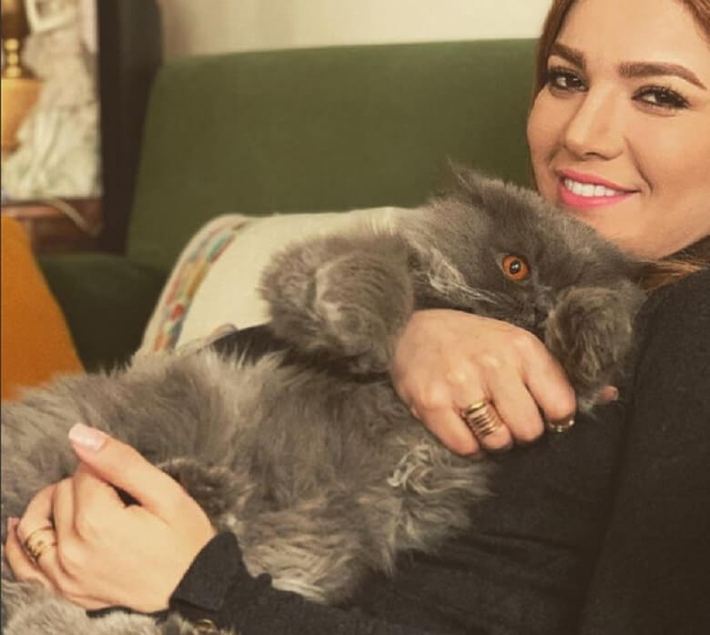 متین ستوده گربه‌اش را خفه کرد