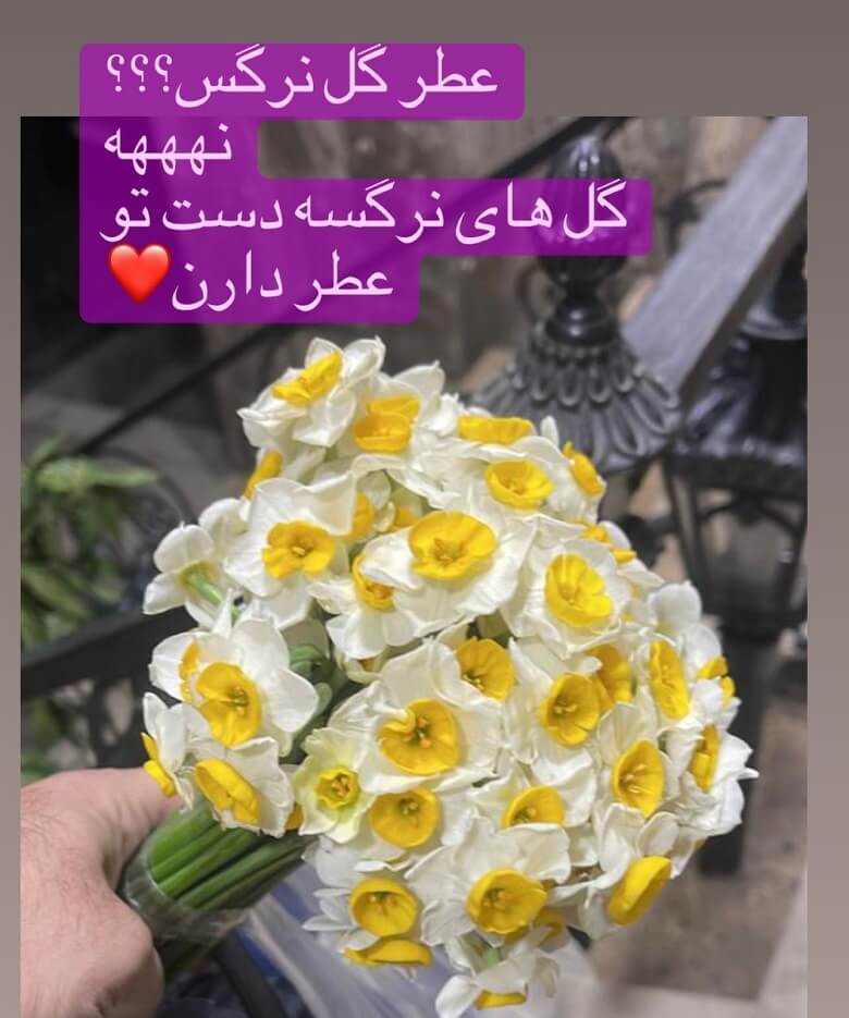 همسر دوم نفیسه روشن به او هدیه جالبی داد.